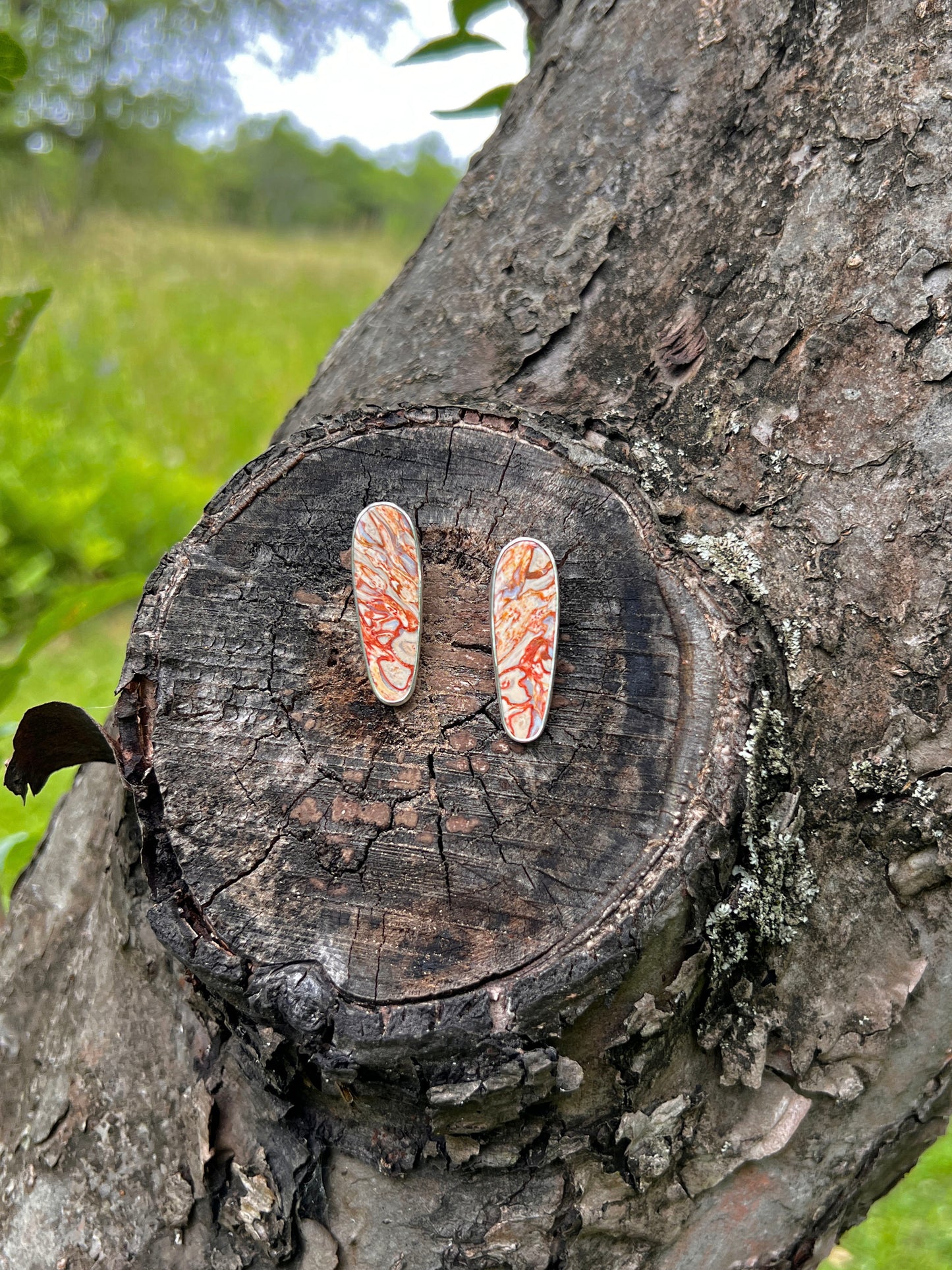 Fossilized Palm Root Stud Earrings