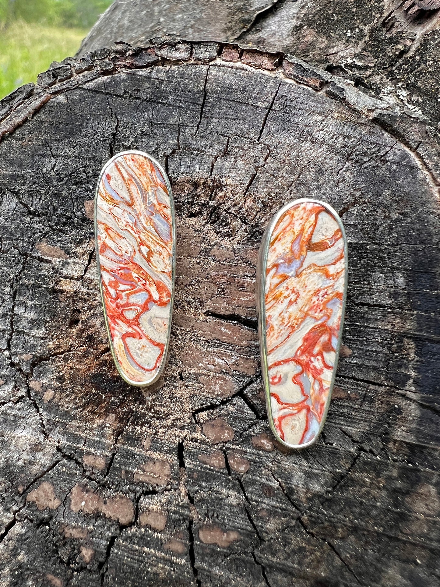 Fossilized Palm Root Stud Earrings