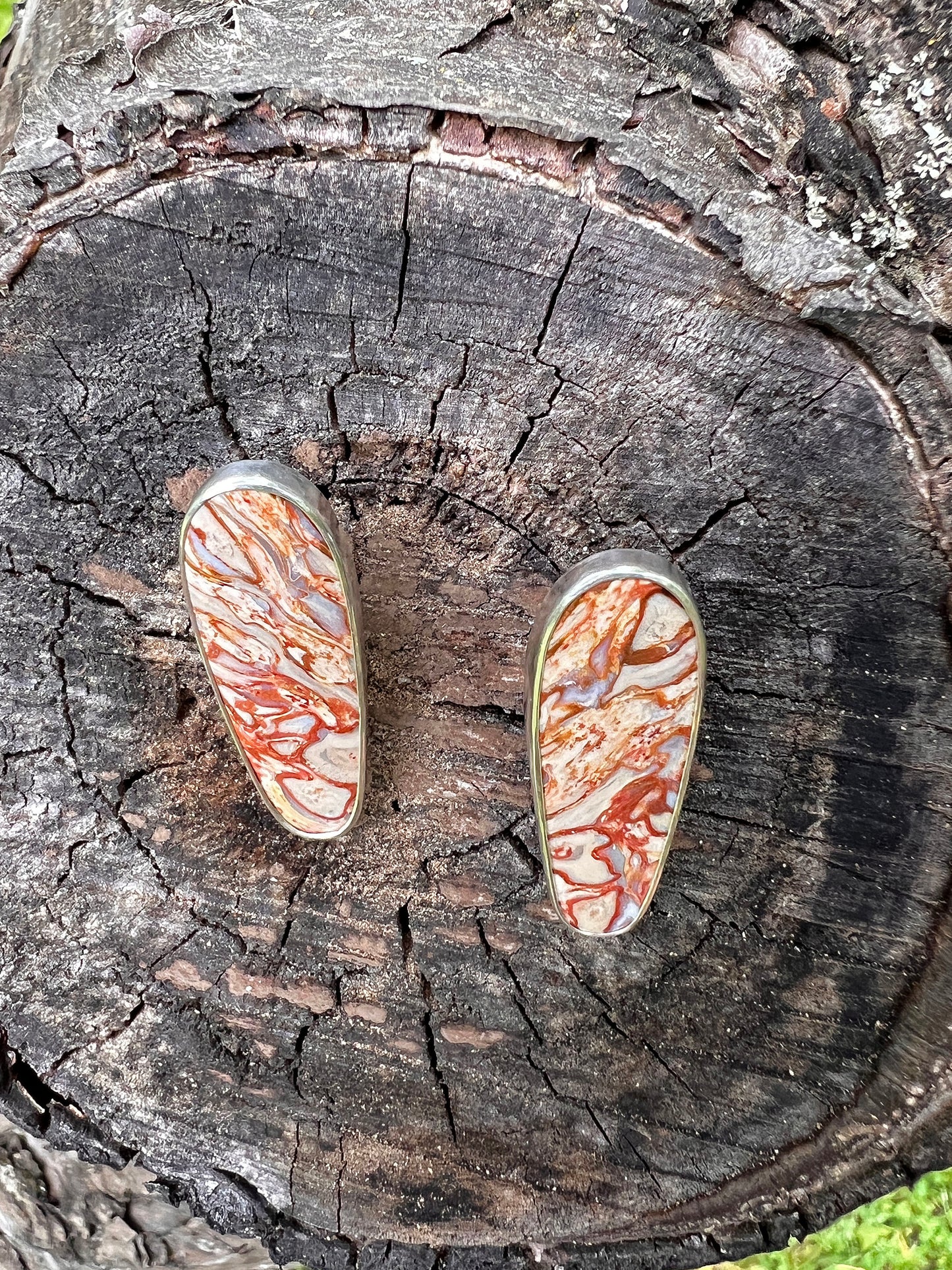 Fossilized Palm Root Stud Earrings