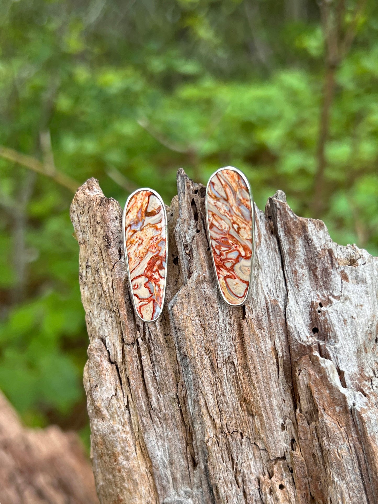 Fossilized Palm Root Stud Earrings